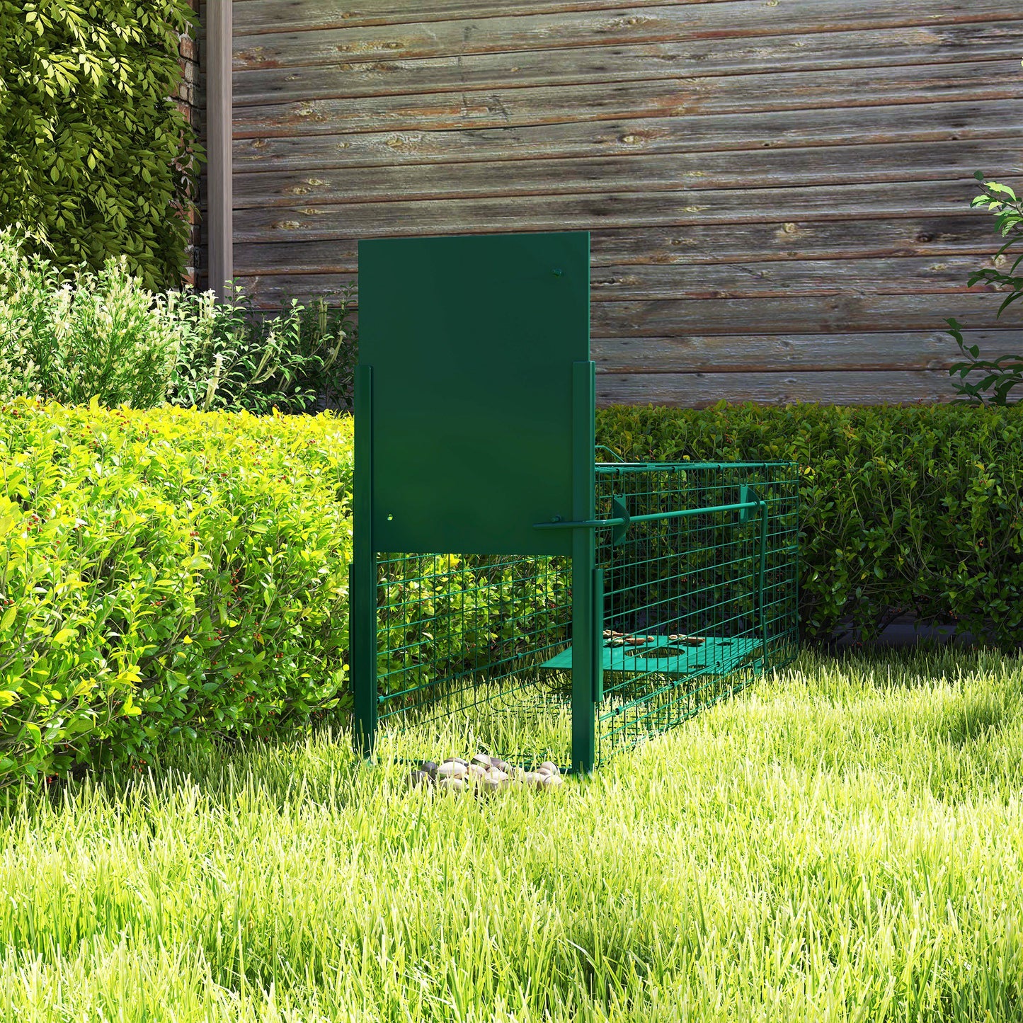 Single Door Humane Rat Trap for Small Animals, Dark Green