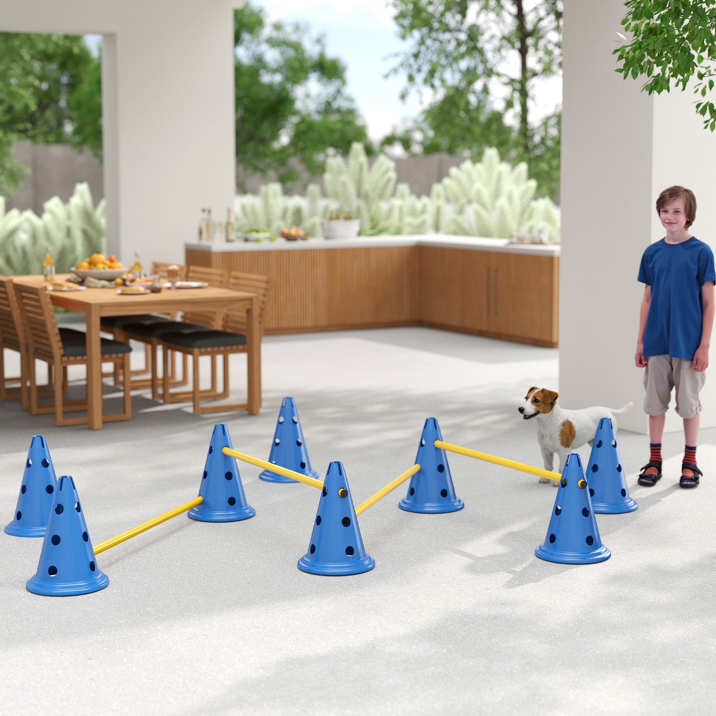 Dog Agility Equipment Set, Four-Piece Adjustable Height Jumping