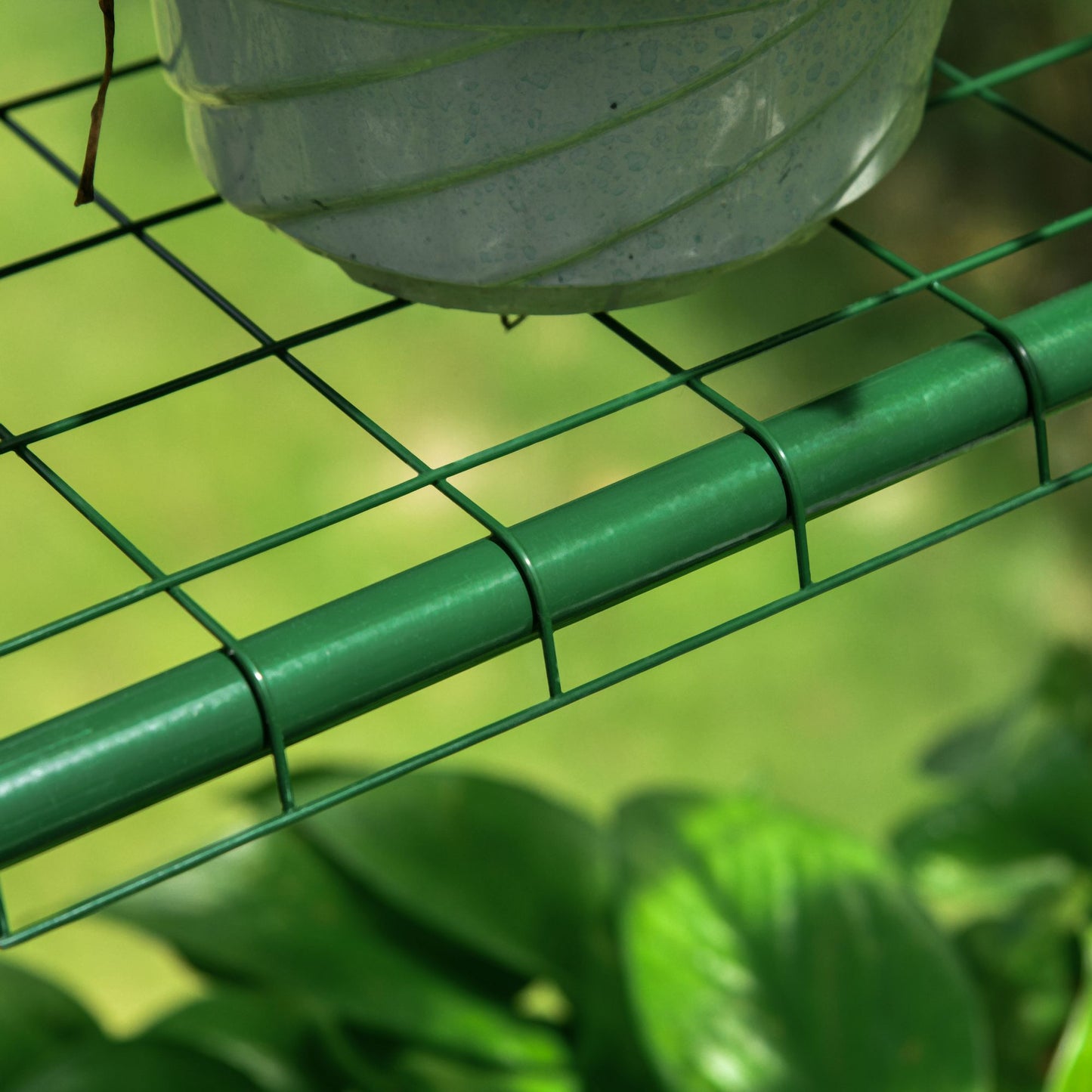 Greenhouse