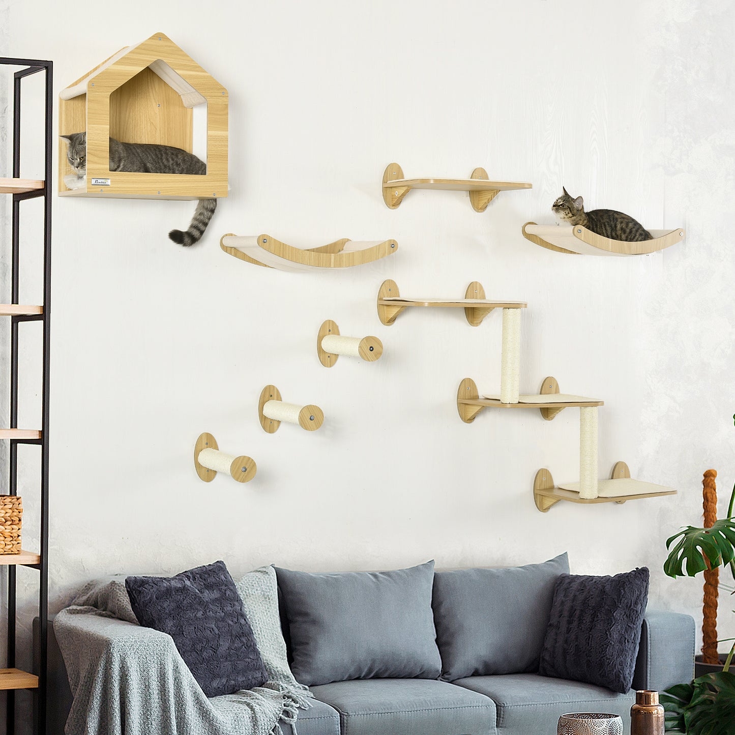Cat Shelf Set