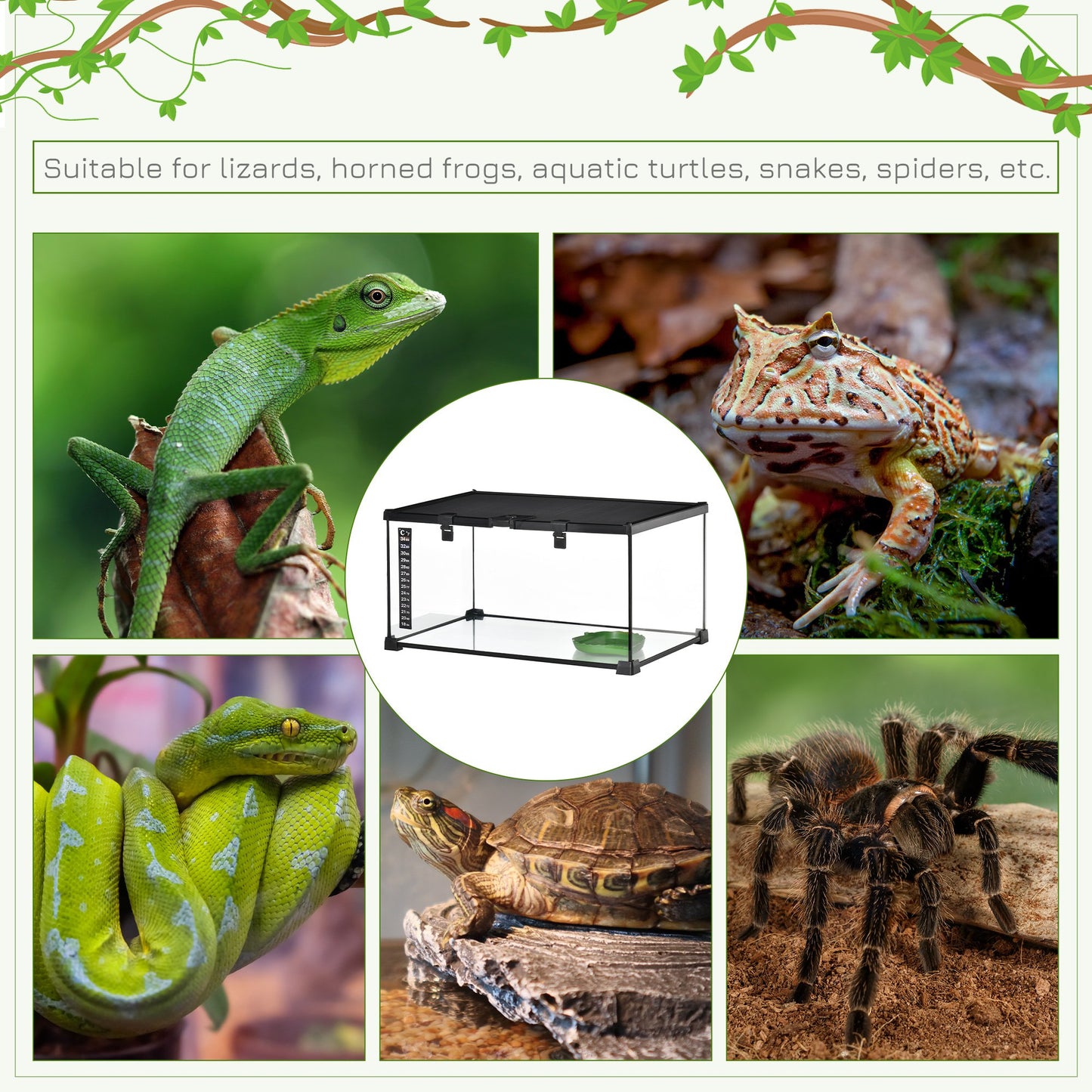 Glass Reptile Terrarium Insect Breeding Tank Vivarium Habitats with Thermometer for Lizards, Horned Frogs, Snakes, Spiders - Medium 50 x 30 x 25cm