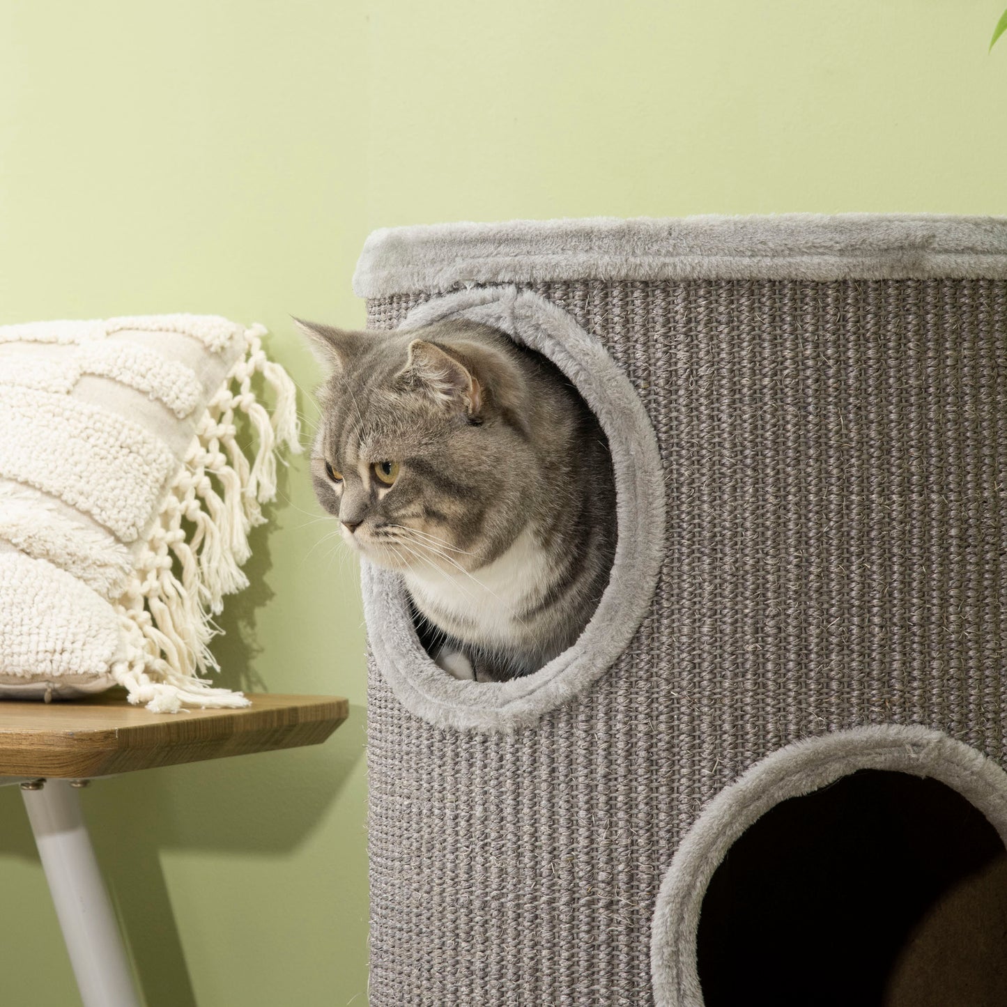 Cat Tower