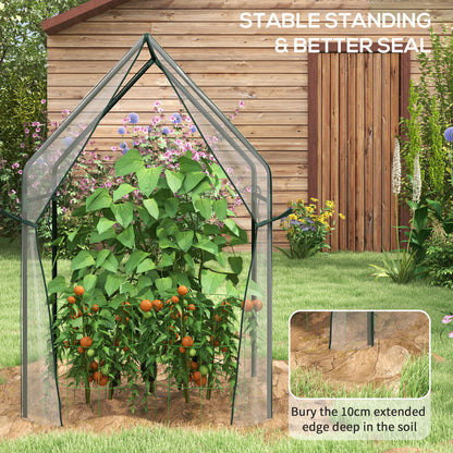 Mini Greenhouse, Garden Tomato Growhouse with 2 Zipped Doors, Portable Indoor Outdoor Green House, 90 x 90 x 145cm, Clear