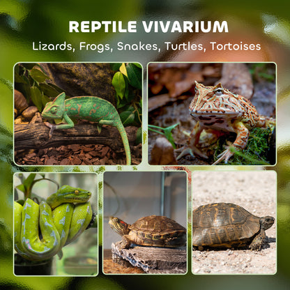 10L Glass Terrarium, Reptile Vivarium with Stone Background, Black