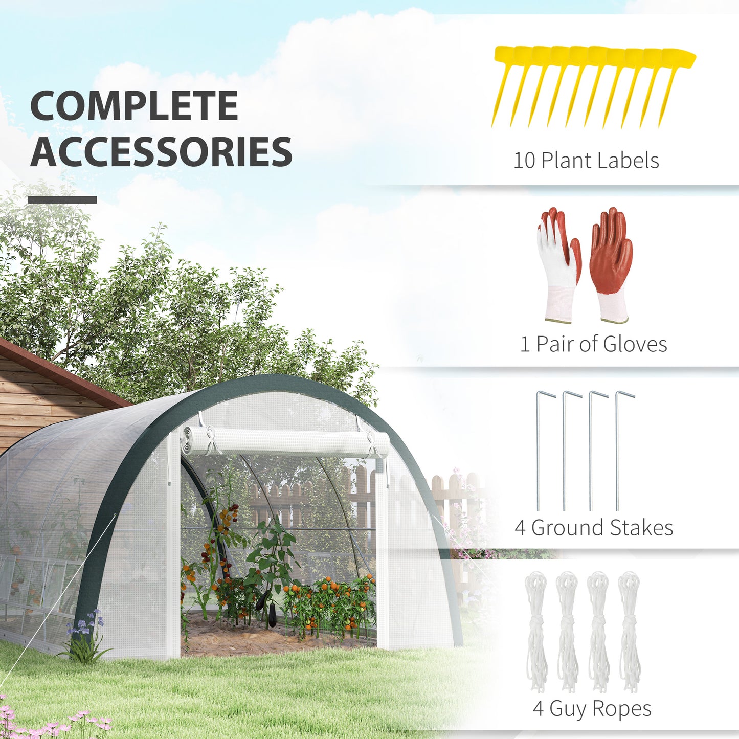 Walk-in Tunnel Greenhouse, Upgraded Structure, Mesh Door & Windows