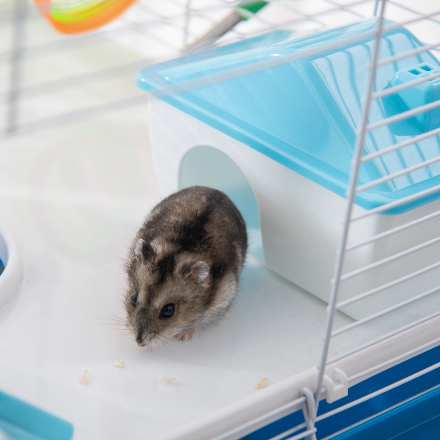 Hamster Cage with Tubes Tunnel 3 Level Rodent House with Exercise Wheel, Water Bottle, Food Dish, Ramp, Hut 59 x 36 x 47 cm- Blue