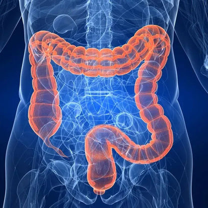 Reset And Rebalance Your Digestion With a Full Colonic Hydrotherapy Session at The Meridian Wellbeing Clinic – Only £39.95 (normally £80)!