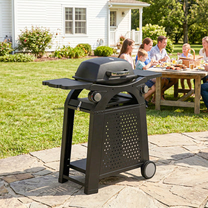 2 Burner Gas Grill, 3.8 KW Barbecue Grill with Cast Iron Grates