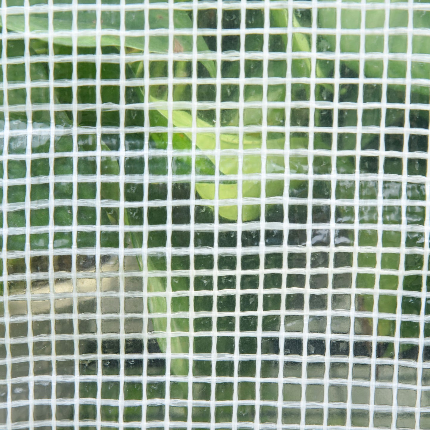 Greenhouse