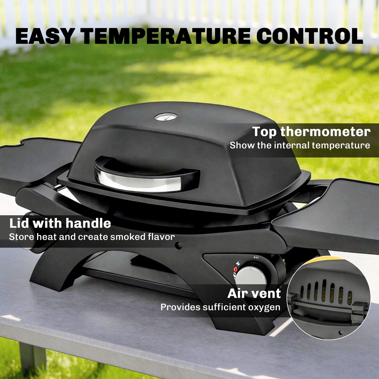 2 Burner Gas Grill, Tabletop BBQ with Cast Iron Grates, Black