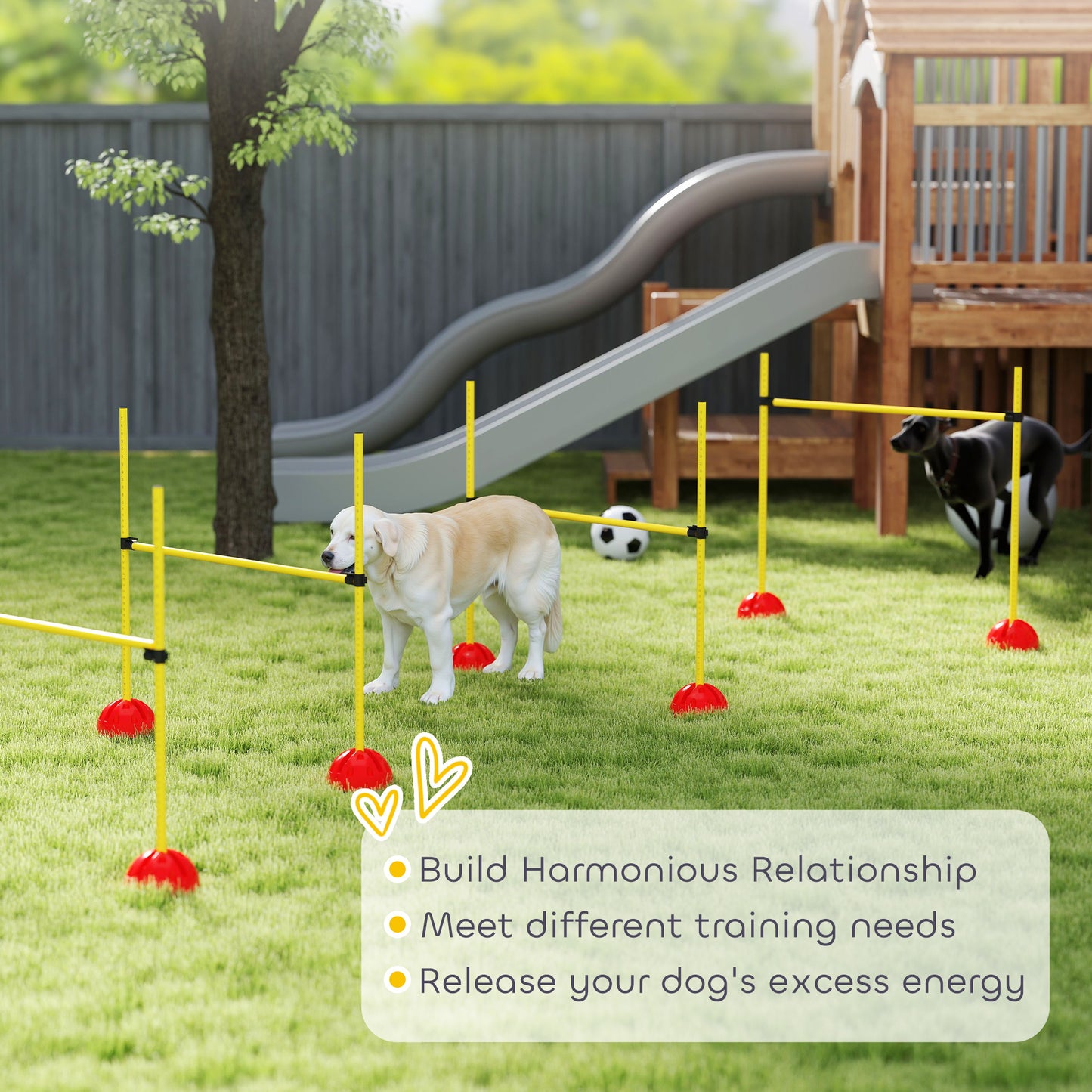 4 Piece Dog Agility Equipment with 4 Hurdle Bar for Jump Training