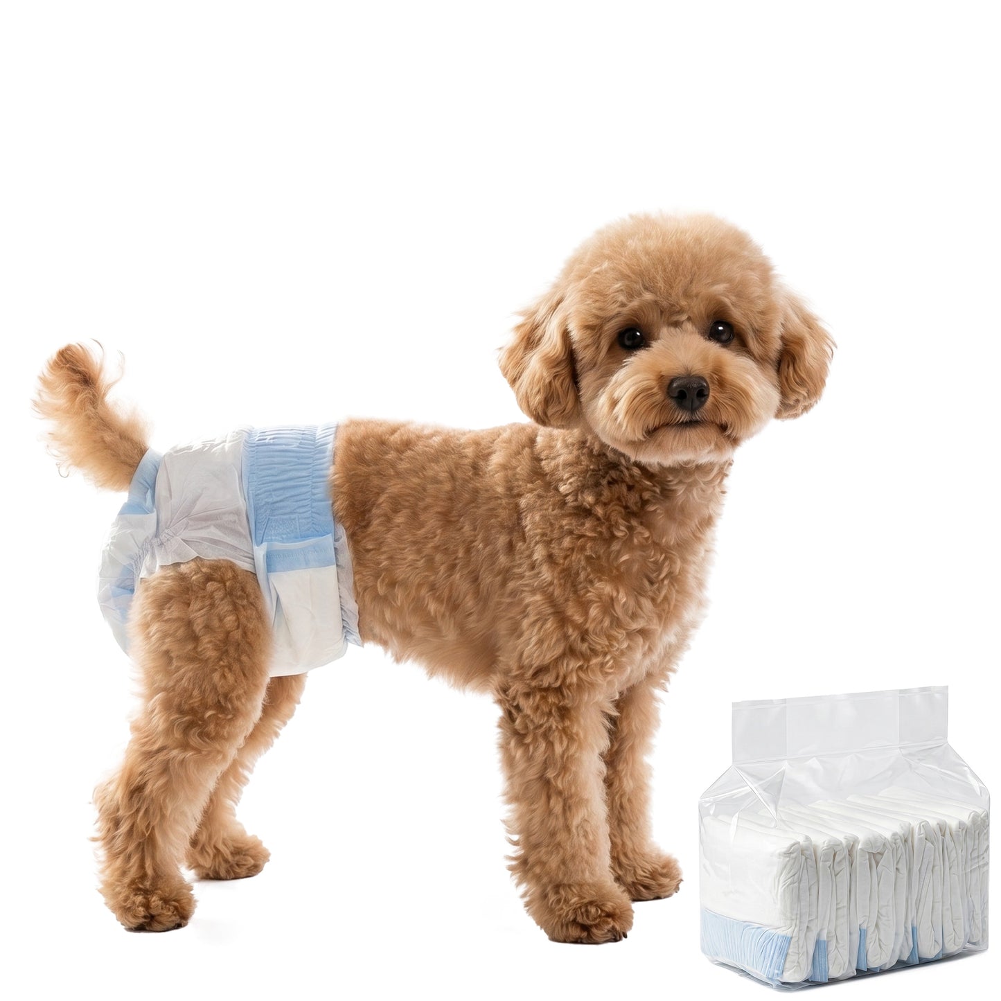 Disposable Dog Diapers Female, 48 Count Absorbent Dog Nappies, Puppy Sanitary Wraps Panties for Incontinence or Excitable Urination and Training, S, 19-37 cm