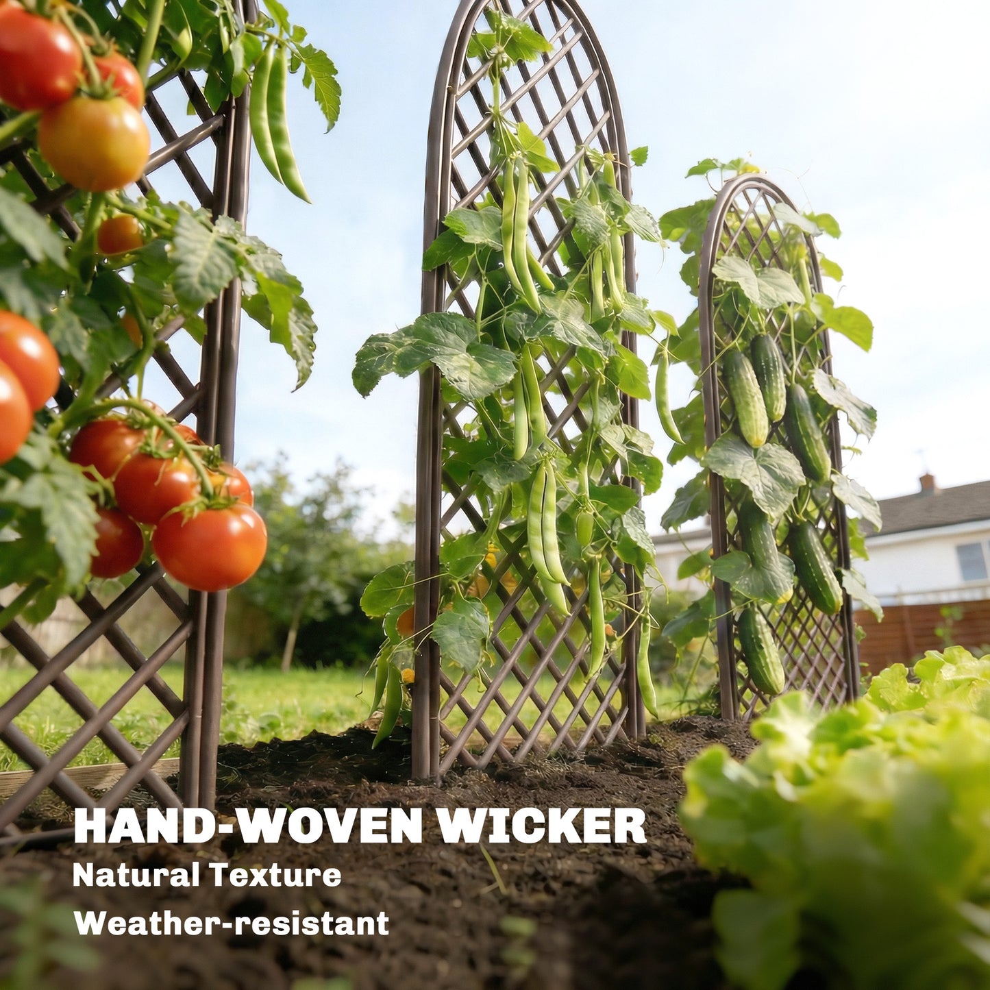 Garden Arch, Wicker Trellis Support Frame with Dome Top, Natural