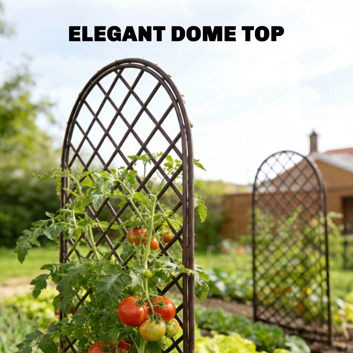 Garden Arch, Wicker Trellis Support Frame with Dome Top, Natural