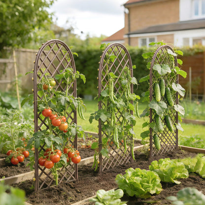 Garden Arch, Wicker Trellis Support Frame with Dome Top, Natural