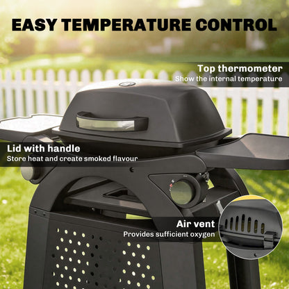 2 Burner Gas Grill, 3.8 KW Barbecue Grill with Cast Iron Grates