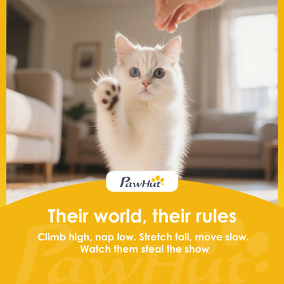Cat House Stackable Cat Bed for Indoor Outdoor Grey