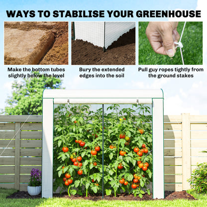 Mini Greenhouse, Portable Indoor Outdoor Green House with PE Cover