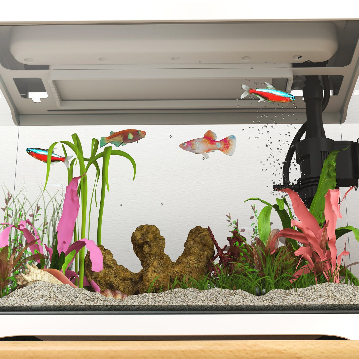 17L Fish Tank, Glass Aquarium with Filter System, LED Light, Water Pump, Fish Tank Starter Kits for Betta, Goldfish, Shrimps, Cold Water Fish, White