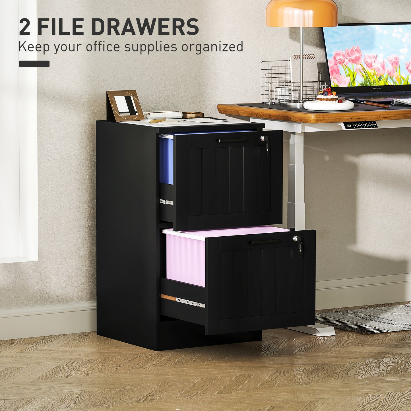 2 Drawer File Cabinet with Lock and Adjustable Hanging Bars, Black