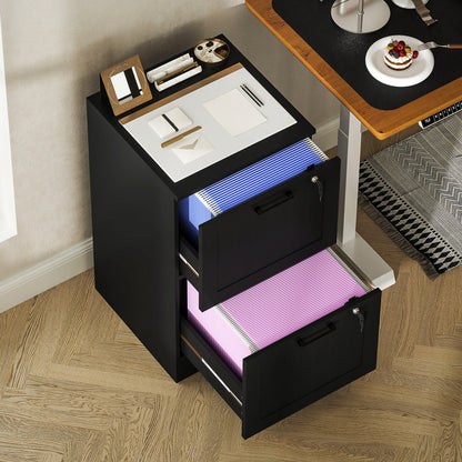 2 Drawer File Cabinet with Lock and Adjustable Hanging Bars, Black