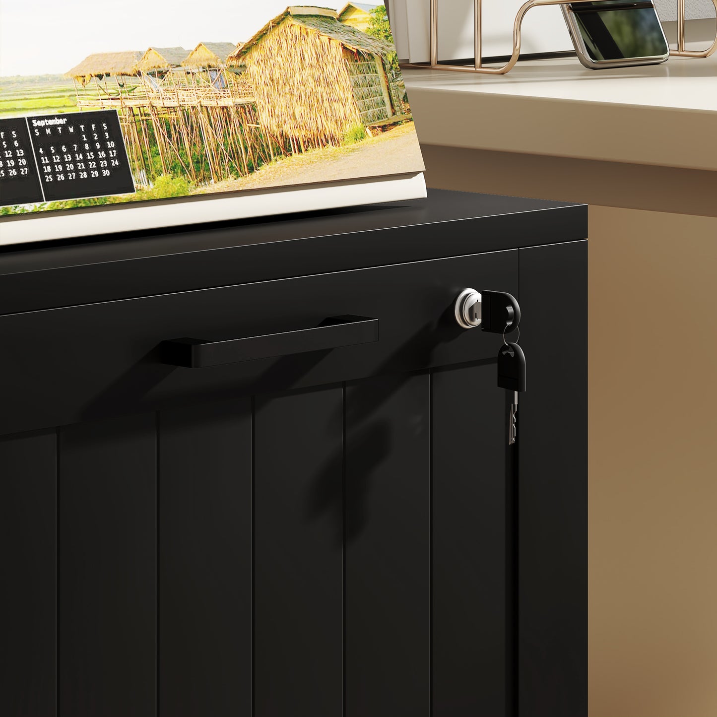 2 Drawer File Cabinet with Lock and Adjustable Hanging Bars, Black