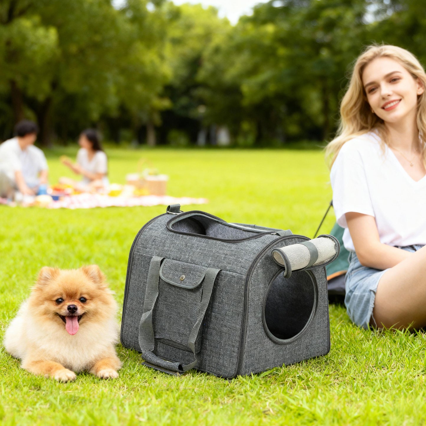 Soft Sided Cat Carrier Bag Foldable Portable with Shoulder Strap