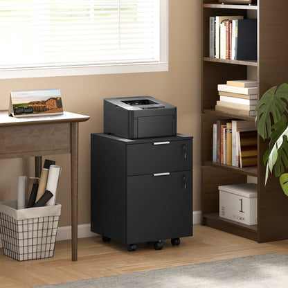 2 Drawer Filing Cabinet with Adjustable Hanging Bars for A4 and Letter
