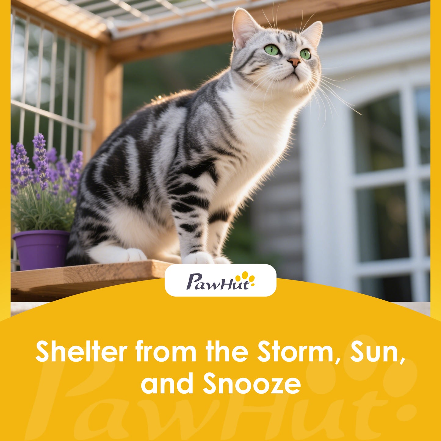 Outdoor Catio Cat House, Movable Wooden Cat Enclosure on Exercise Wheels with Resting Box, 3  Platforms, Large Kitty Cage with Waterproof Asphalt Roof for Outdoor Indoor, for 2 Kittens