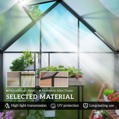 Polycarbonate Greenhouse Garden Green House with Swing Door, Black
