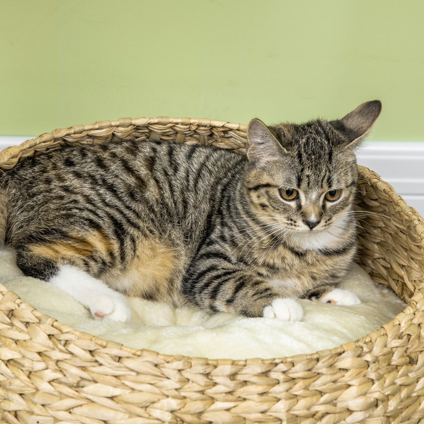 72cm Cat Tree Kitten Tower with 2 Beds Scratching Post Toy Ball Beige