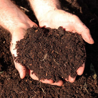 Premium Local Compost Delivered to Your Door – 1,000L Bulk Bags For £149! Transform Your Garden with Locally Produced, Nutrient-Rich Soil Improver