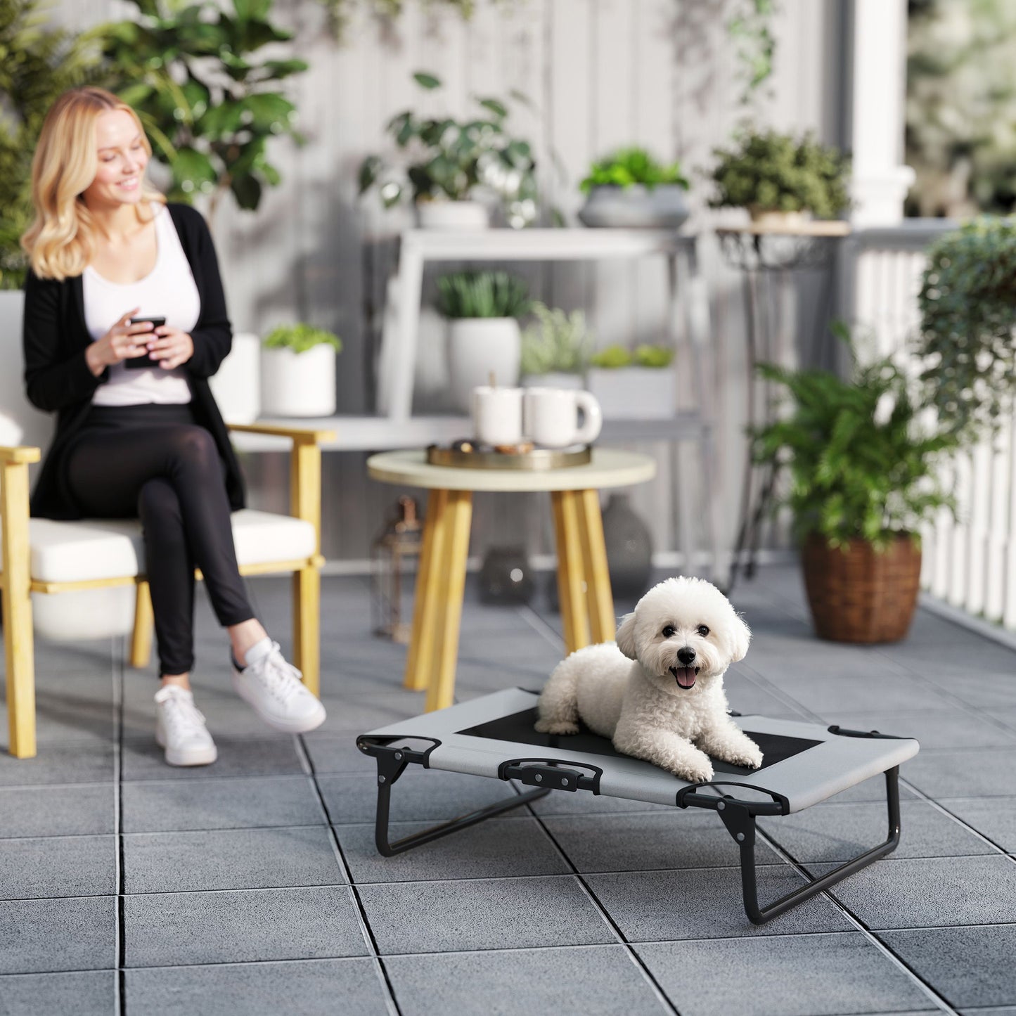 Raised Dog Bed with Breathable Mesh for S & M Dogs, Light Grey