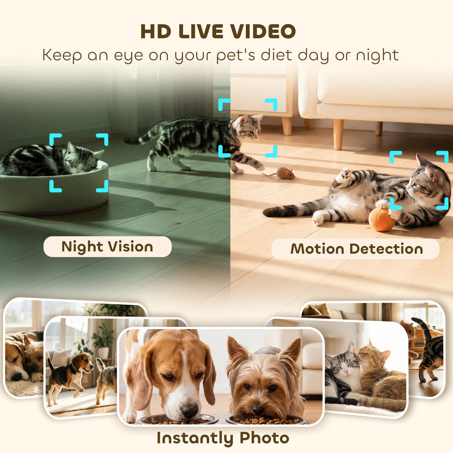 Smart Cat Feeder with HD Camera, 5G WiFi & Voice Recorder 6L