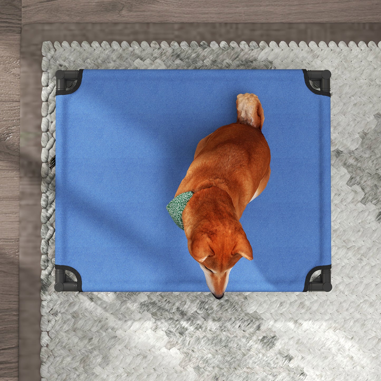 Elevated Dog Bed