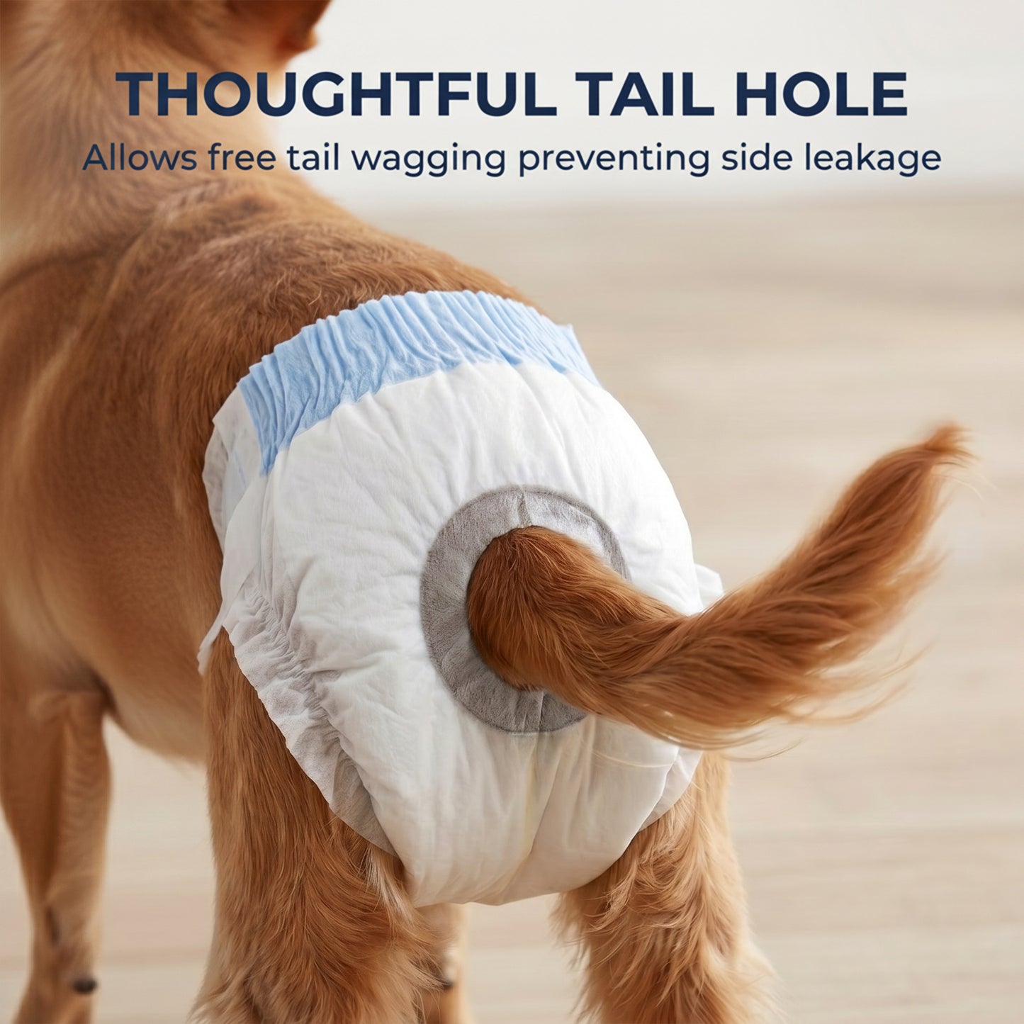 Disposable Dog Diapers Female, 48 Count Absorbent Dog Nappies, Puppy Sanitary Wraps Panties for Incontinence or Excitable Urination and Training, XS, 15-33 cm