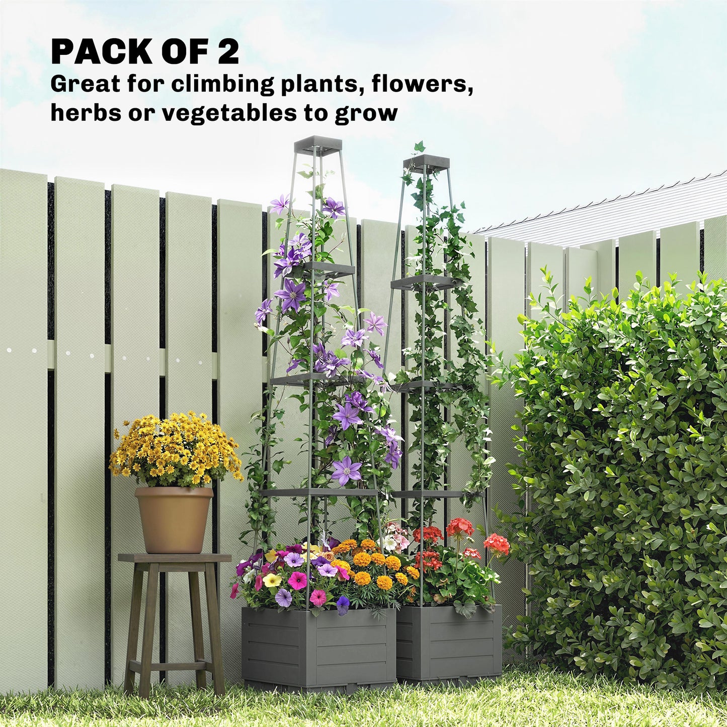2 Pack Raised Garden Bed with Trellis and Removable Drainage Tray