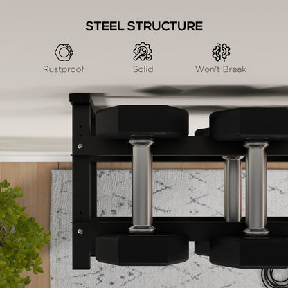 Wall-Mounted Dumbbell Rack, 2-Tier Steel Design, Black