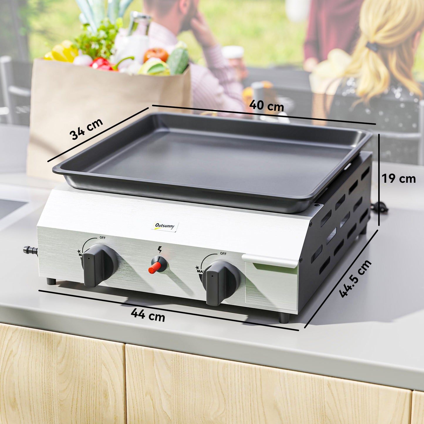 Gas Grill, Gas BBQ with Non-Stick Griddle for Camping, Silver Tone