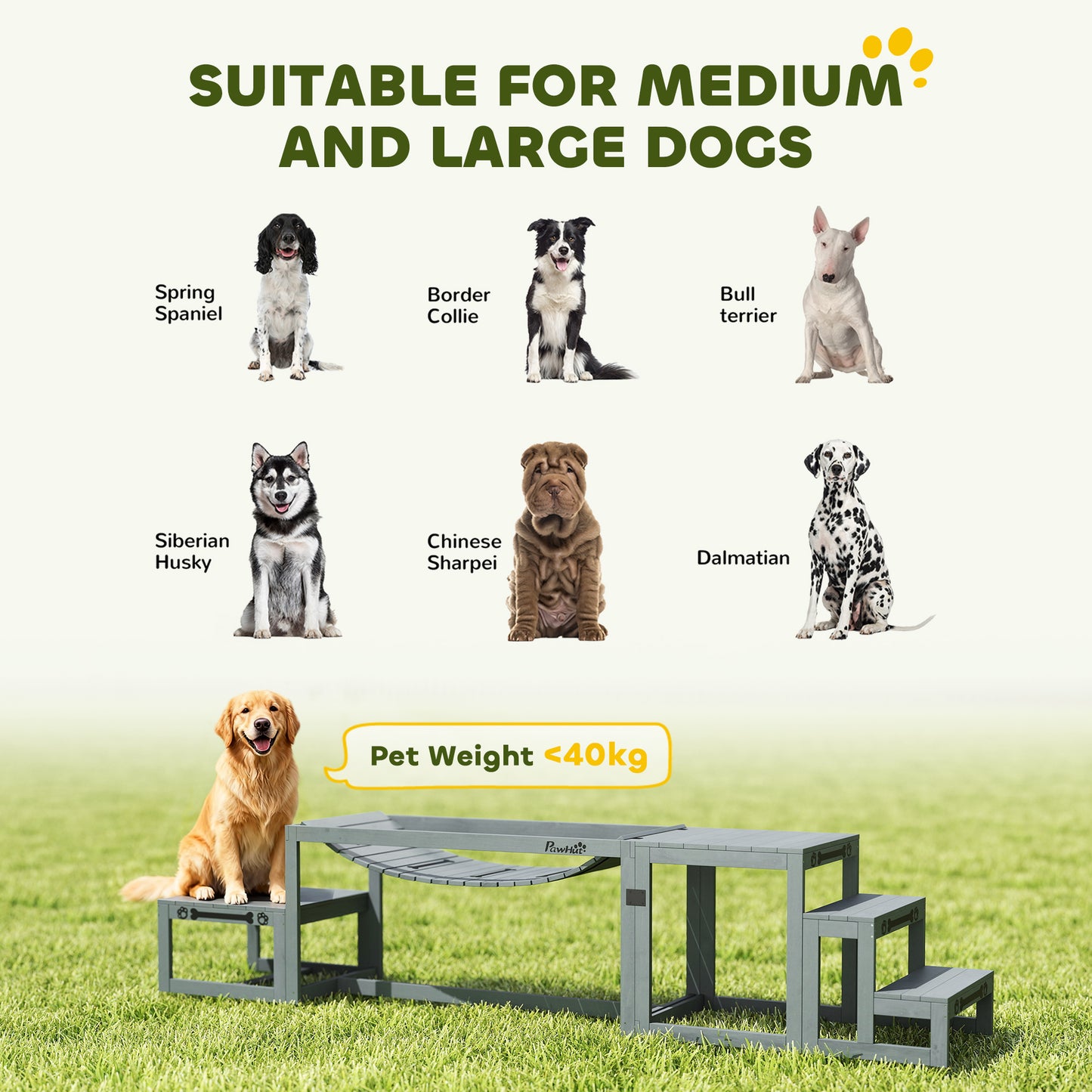 3 Pieces Wooden Dog Agility Training Equipment, Grey