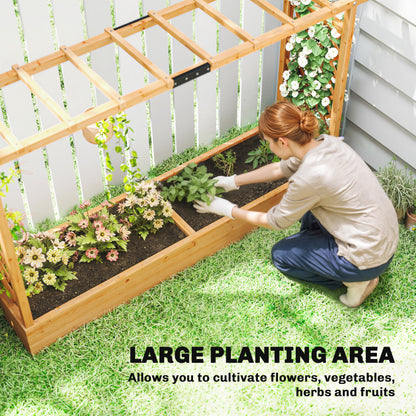 Raised Bed for Garden with Trellis, 200 x 44 x 113.5 cm, Natural