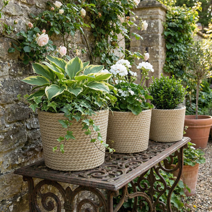 Seagrass Plant Pots Flower Planters Bohemian Style Set of 3 Natural