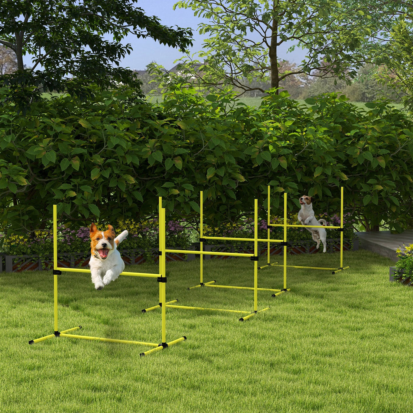 4 Pieces Dog Agility Training Equipment with Carrying Bag, Yellow
