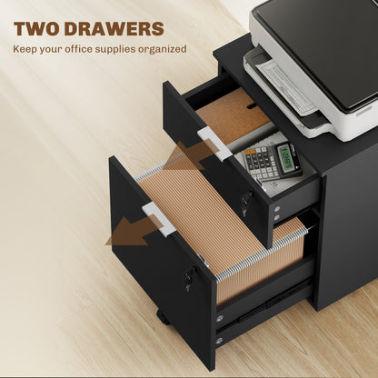 2 Drawer Filing Cabinet with Adjustable Hanging Bars for A4 and Letter