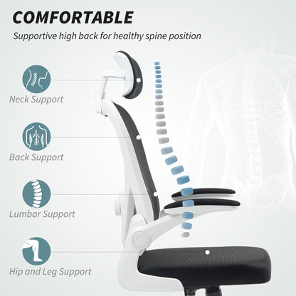 Ergonomic Mesh Office Chair with Headrest, Lumbar Support, Black