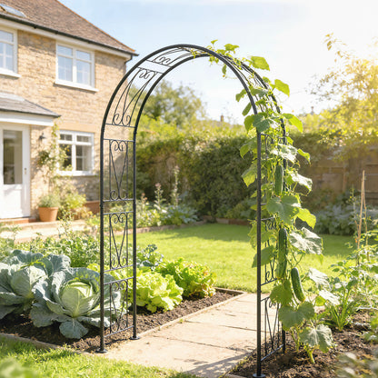 Garden Arch, Rose Arch, Black