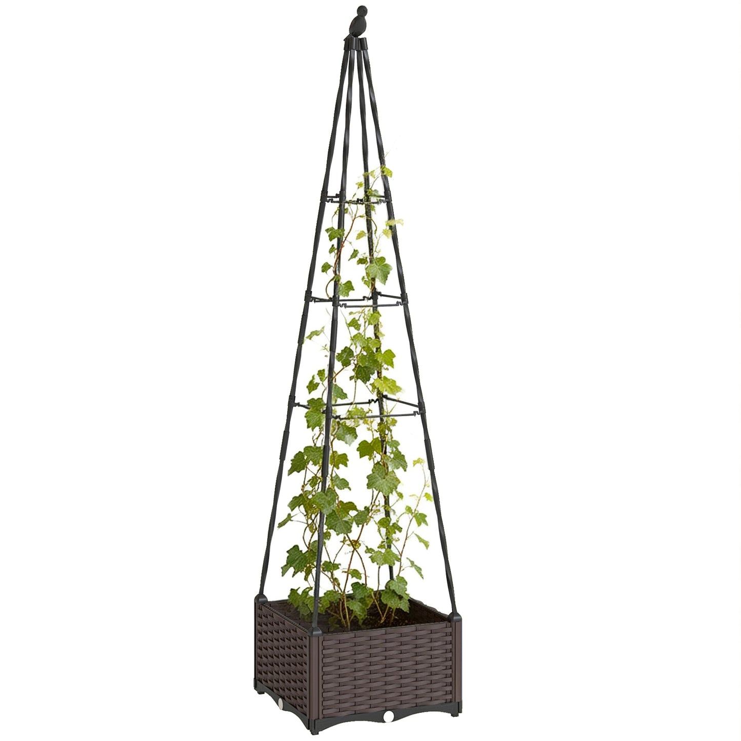 Raised Garden Bed Planter Box with Trellis and Self Watering