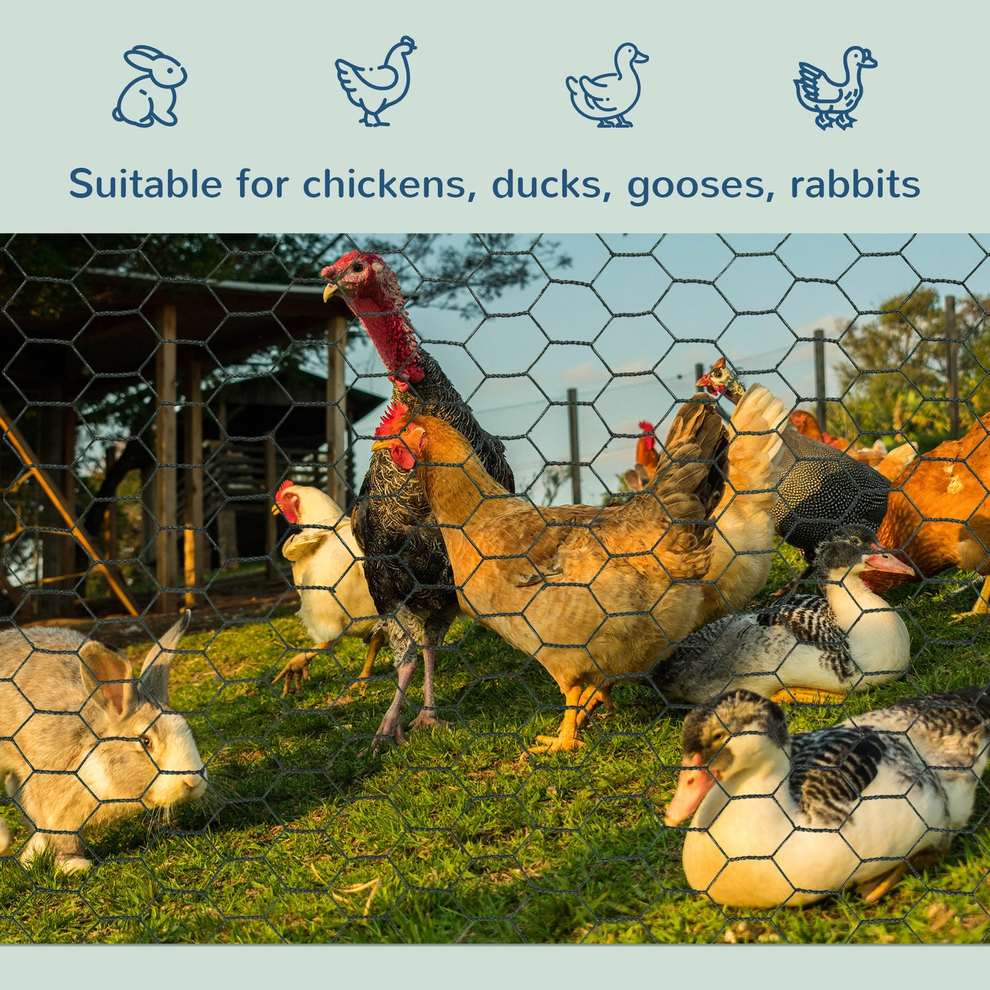 Foldable Chicken Wire Mesh, for Rabbits, Ducks, Geese, 1 x 25m