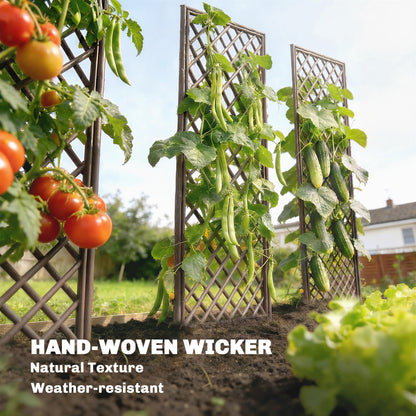 Garden Arch, Wicker Trellis Support Frame with Flat Top, Natural