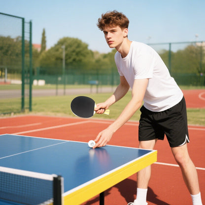 Table Tennis Rackets, Portable Table Tennis Set w/ 4 Bats, 8 Balls